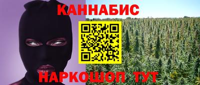 прущие грибы Ачхой-Мартан