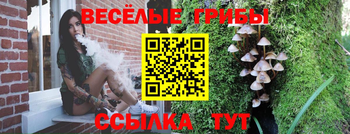 Псилоцибиновые грибы Magic Shrooms Алексин