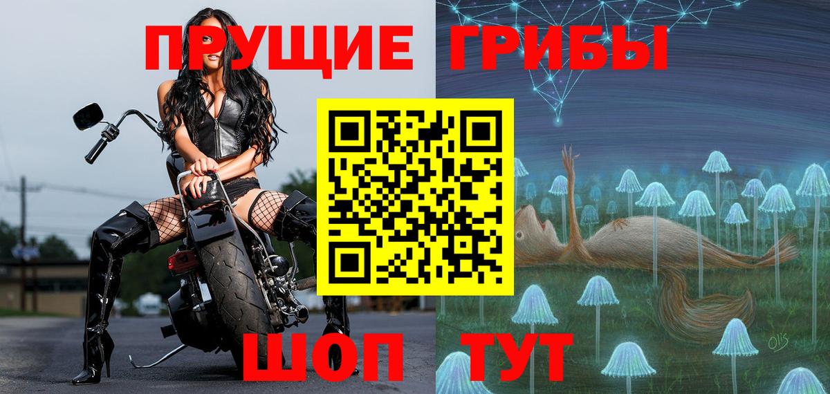 Алексин  Галлюциногенные грибы мицелий  Вход с VPN  Галлюциногенные грибы Cubensis 